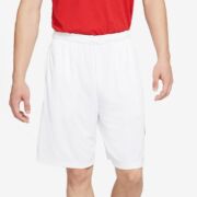 Nike Men’s Dri-fit Printed-Logo Training Shorts Size L White B4HP