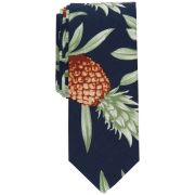 Bar III Men’s Suttom Skinny Pineapple Tie Green OS B4HP