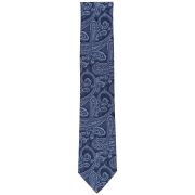 Michael Kors Men’s Kowal Paisley Tie OS B4HP